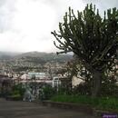 146-Madeira-2018