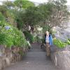 148-Madeira-2018