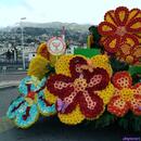 150-Madeira-2018