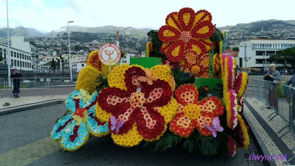 150-Madeira-2018