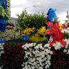 152-Madeira-2018
