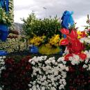 152-Madeira-2018