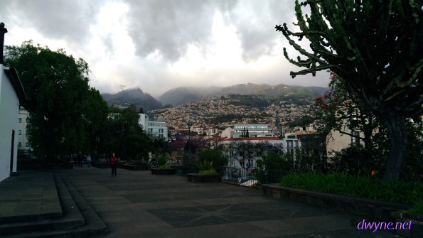 161-Madeira-2018