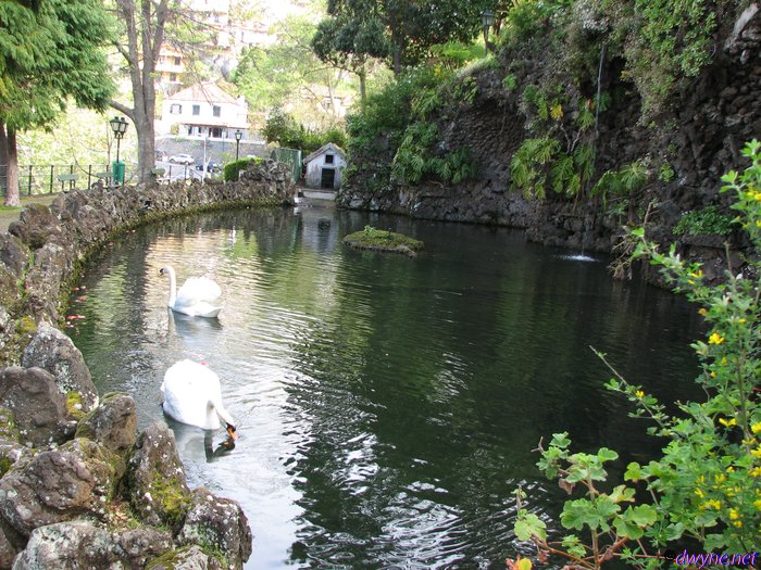 195-Madeira-2018