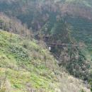 200-Madeira-2018