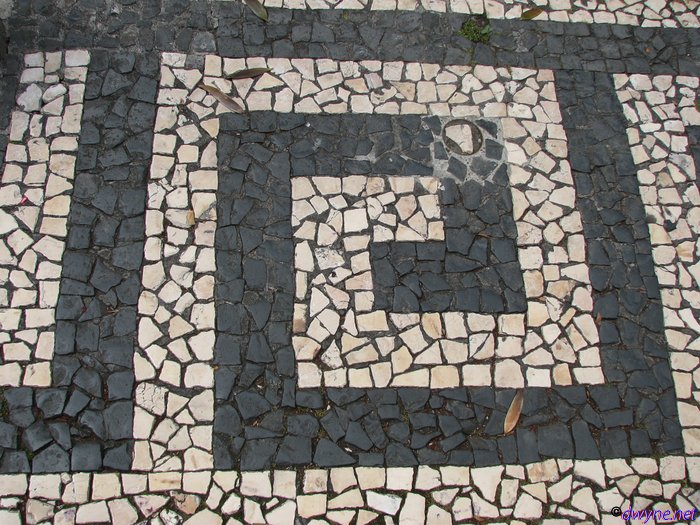 214-Madeira-2018