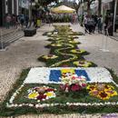 216-Madeira-2018