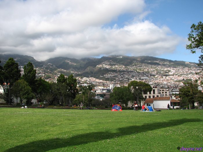 219-Madeira-2018