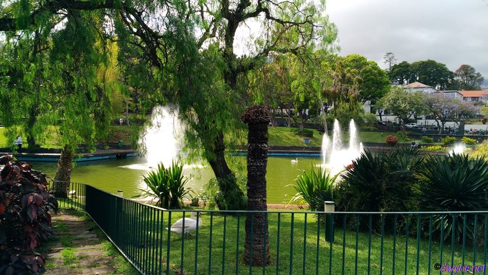 220-Madeira-2018