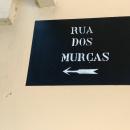 224-Madeira-2018