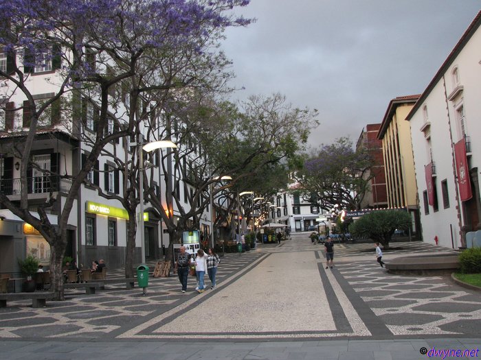 230-Madeira-2018