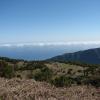 242-Madeira-2018