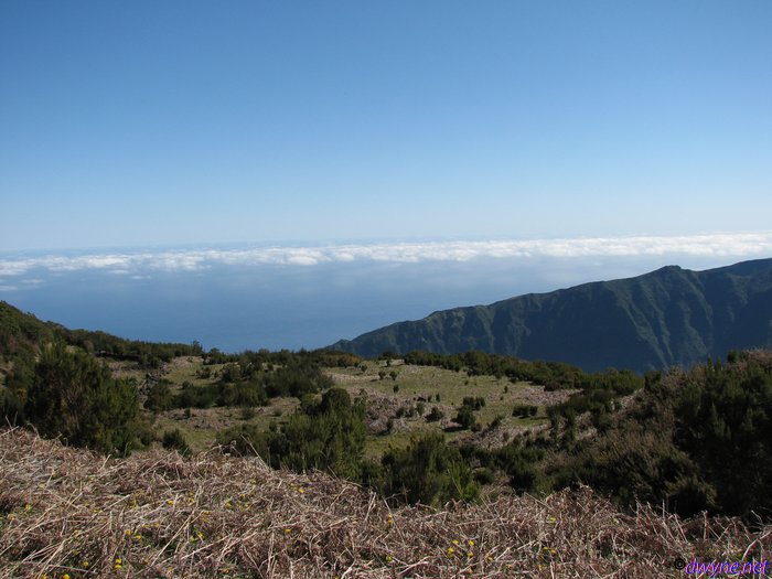 242-Madeira-2018