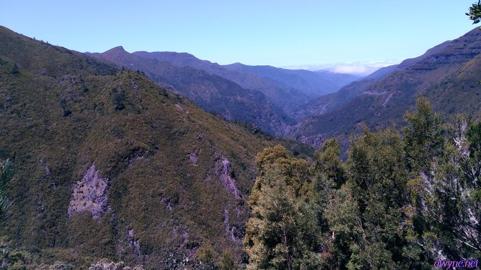 252-Madeira-2018