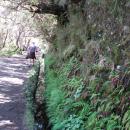254-Madeira-2018