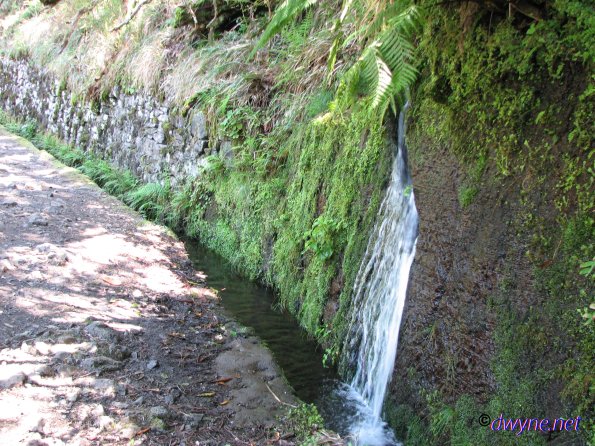 255-Madeira-2018