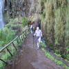 261-Madeira-2018