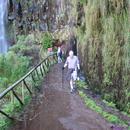 261-Madeira-2018