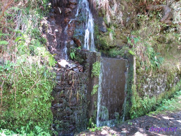 262-Madeira-2018