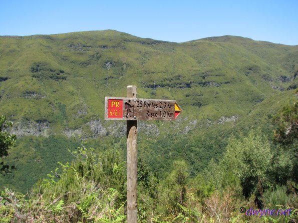 263-Madeira-2018