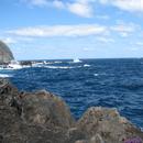 283-Madeira-2018