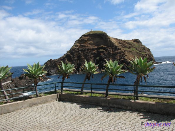 288-Madeira-2018