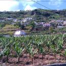 305-Madeira-2018