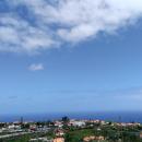 309-Madeira-2018