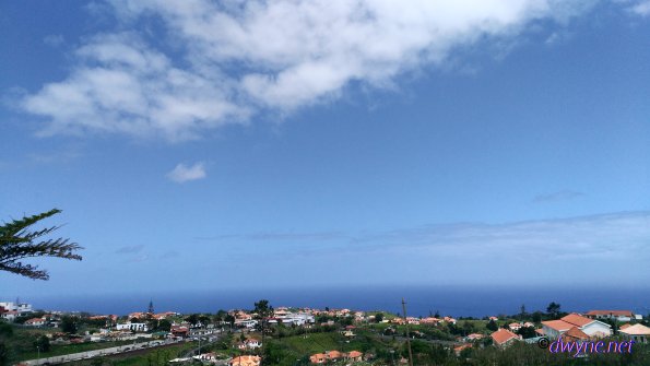 309-Madeira-2018