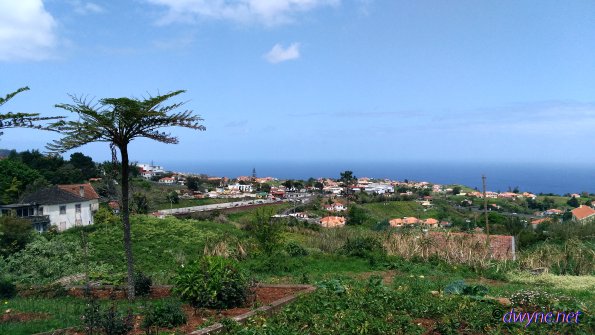 310-Madeira-2018