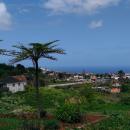 311-Madeira-2018