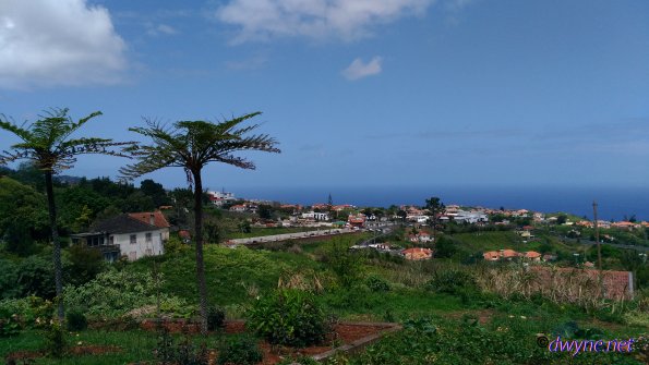 311-Madeira-2018
