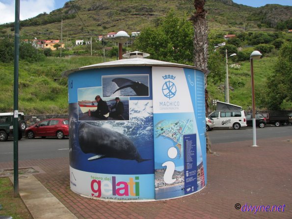 316-Madeira-2018