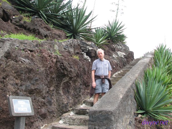 319-Madeira-2018