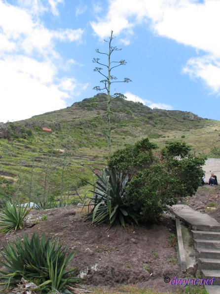 325-Madeira-2018