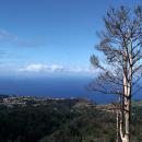 329-Madeira-2018