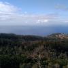 330-Madeira-2018