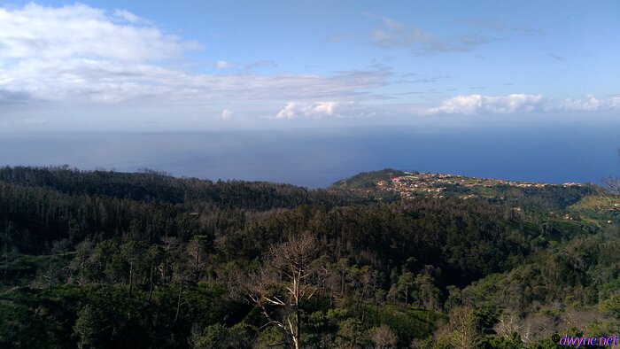 330-Madeira-2018