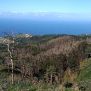 332-Madeira-2018