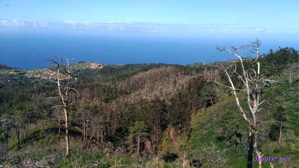 332-Madeira-2018