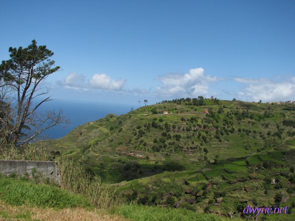 334-Madeira-2018
