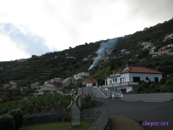 433-Madeira-2018