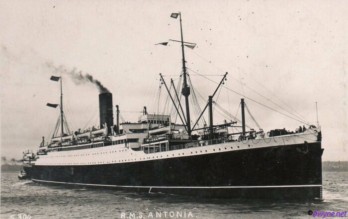 RMS-Antonia-4
