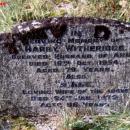 Gravestone-6-Witheridge-Ermington-Churchyard