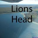 3_Lions_Head